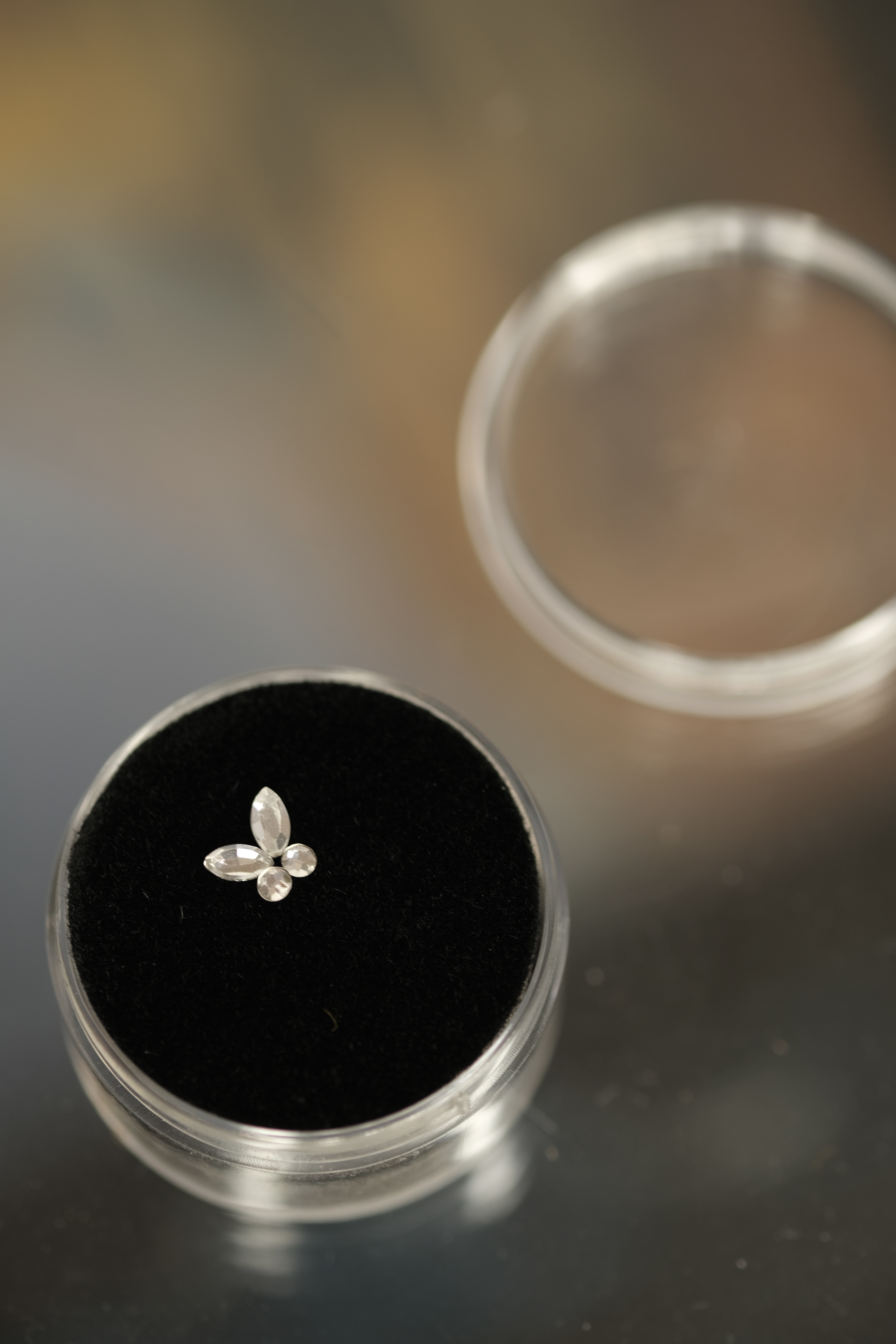 Swarovski Crystal Butterfly Tooth Gem